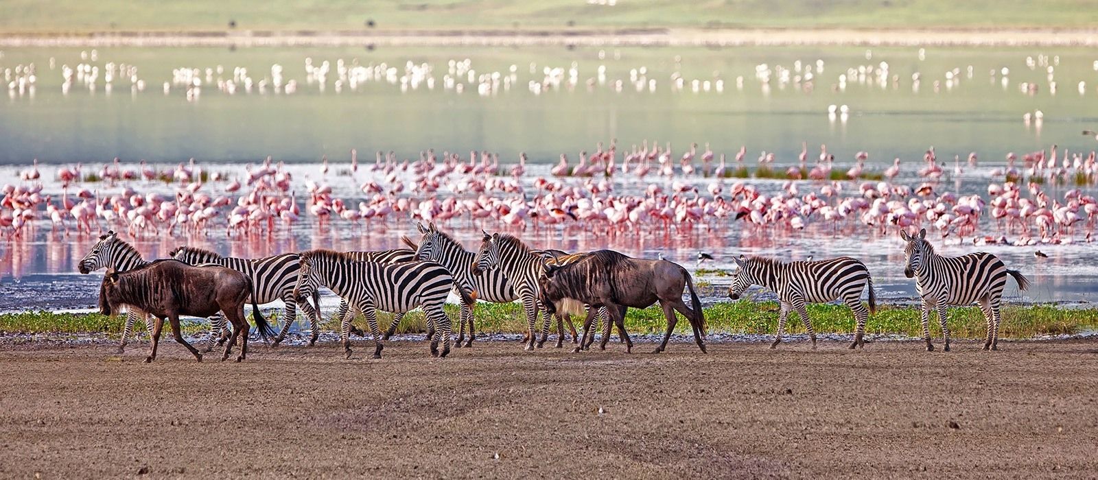 Evidence Tours Safari