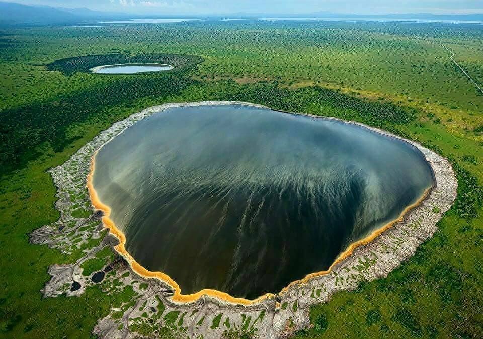 Wildlife Safaris